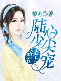 重生小娇妻，陆少心尖宠,陆少的心尖娇妻