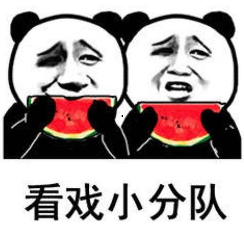 娱乐吃瓜表情包图片可爱,吃瓜表情包里的可爱瞬间